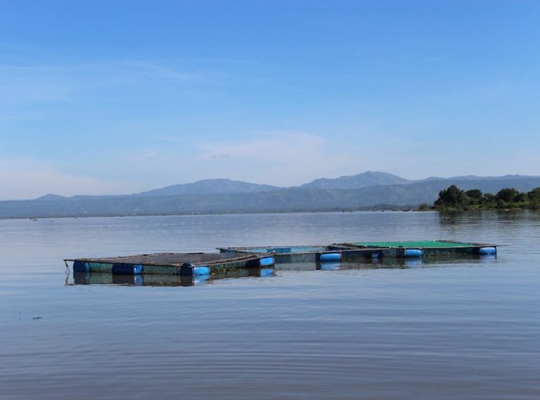 Why Is Lake Faticalawi Important