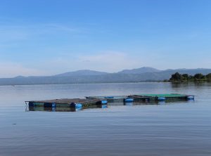 Why Is Lake Faticalawi Important