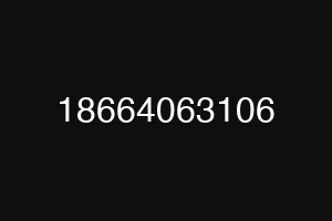 18664063106
