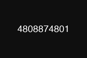 4808874801