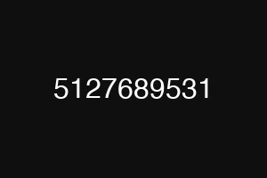 5127689531