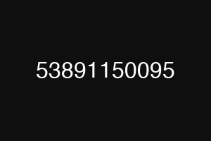 53891150095