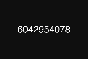 6042954078