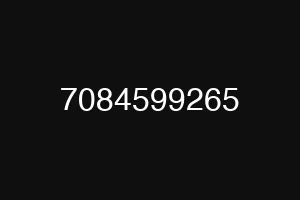 7084599265