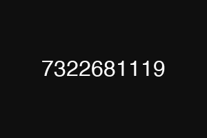 7322681119