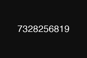 7328256819