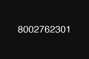 8002762301