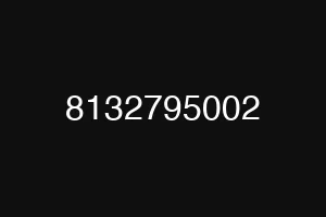 8132795002