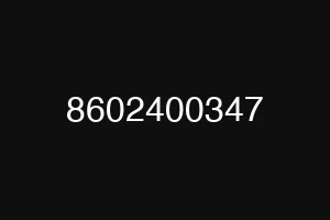 8602400347