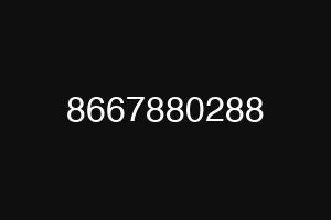 8667880288