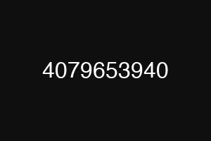 4079653940