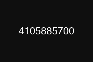 4105885700