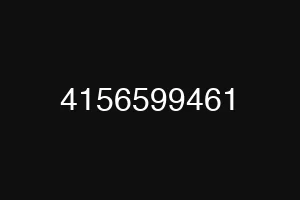 4156599461