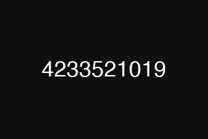 4233521019