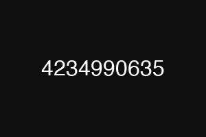 4234990635