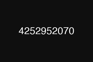 4252952070