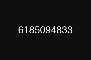 6185094833