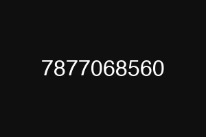 7877068560