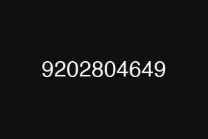9202804649
