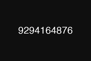 9294164876